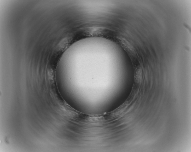 X0000097750571200803211654