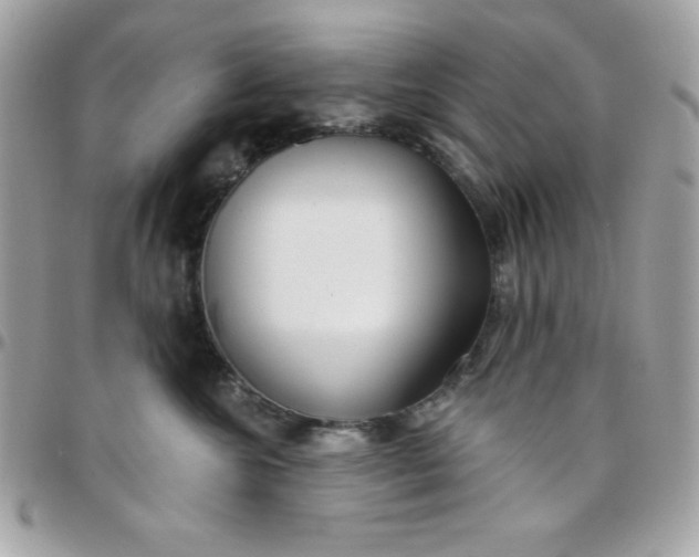 X0000097750572200803211654