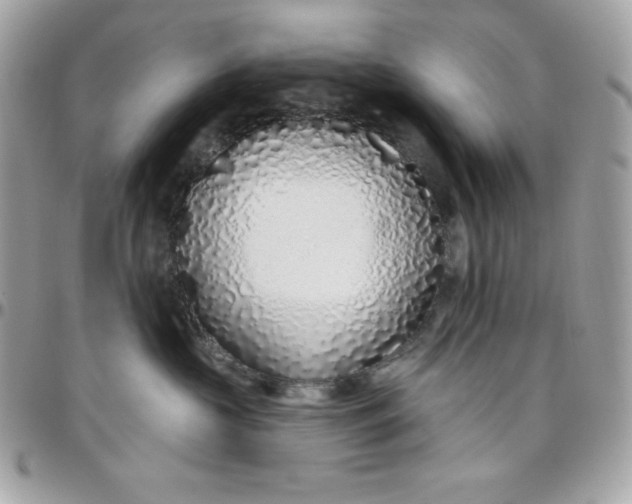 X0000097750573200803211654