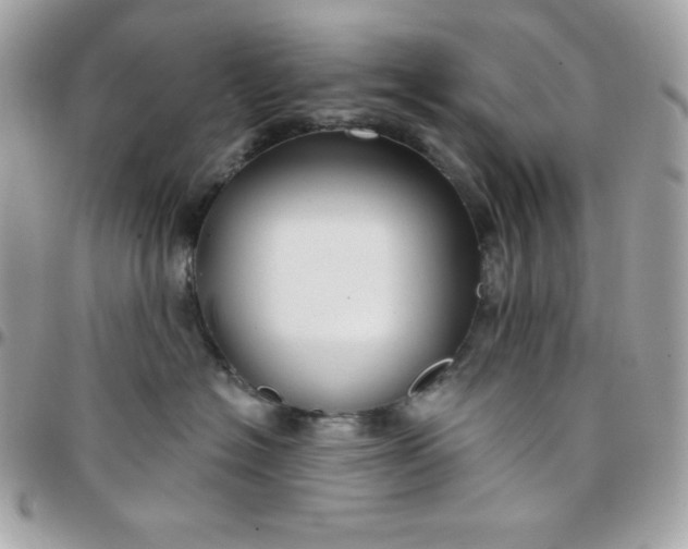 X0000097750574200803211654