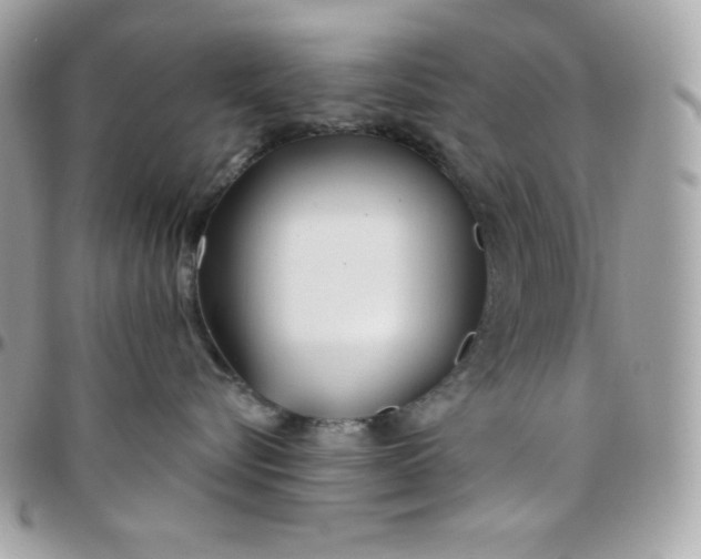 X0000097750576200803211654