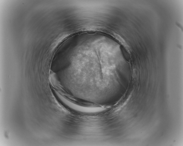 X0000097750577200803211654