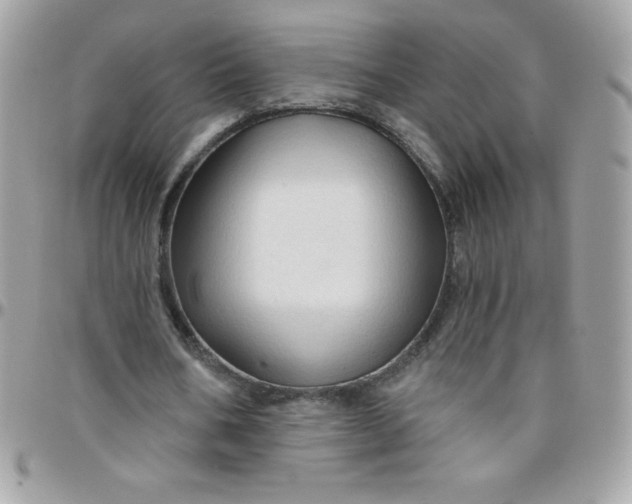 X0000097750578200803211654