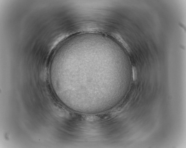 X0000097750579200803211654