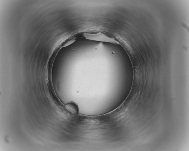 X0000097750582200803211653