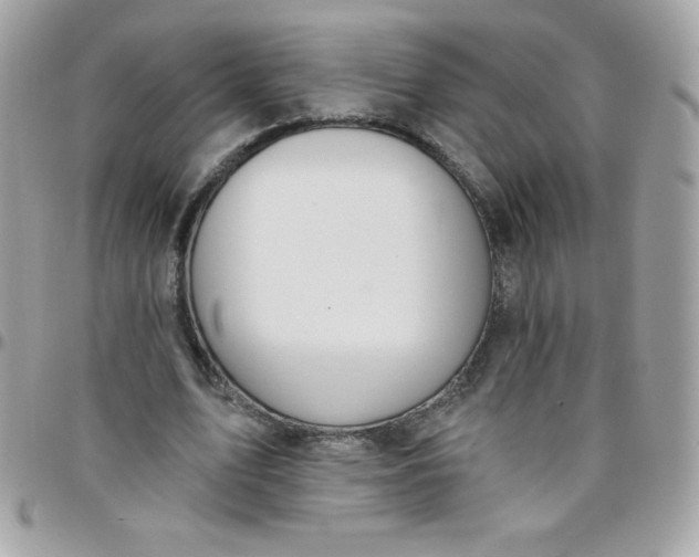 X0000097750583200803211653