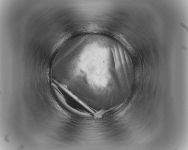 X0000097750585200803211653