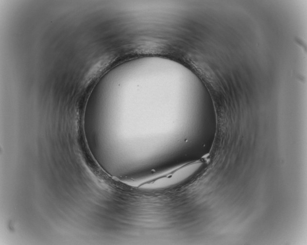 X0000097750586200803211653