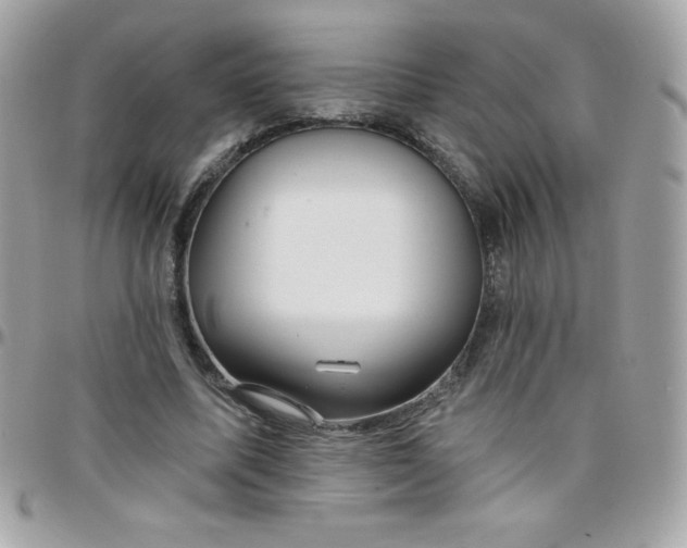 X0000097750587200803211653