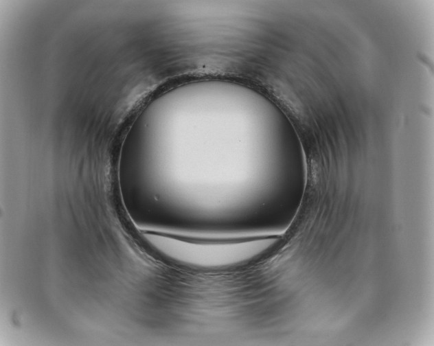 X0000097750588200803211653