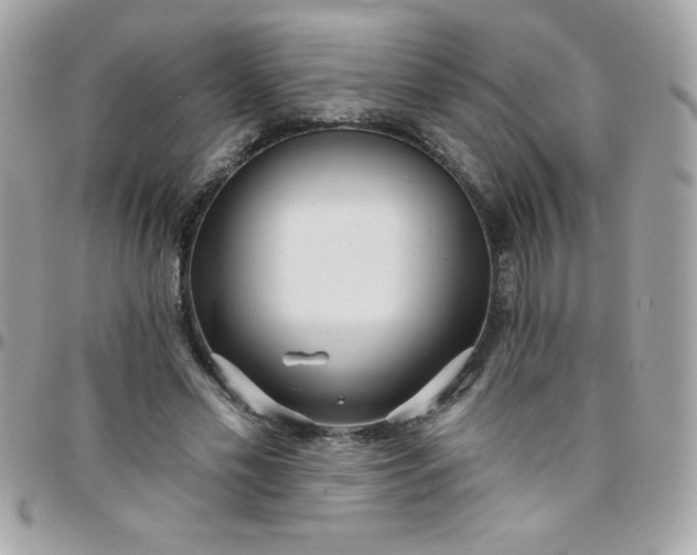 X0000097750589200803211653