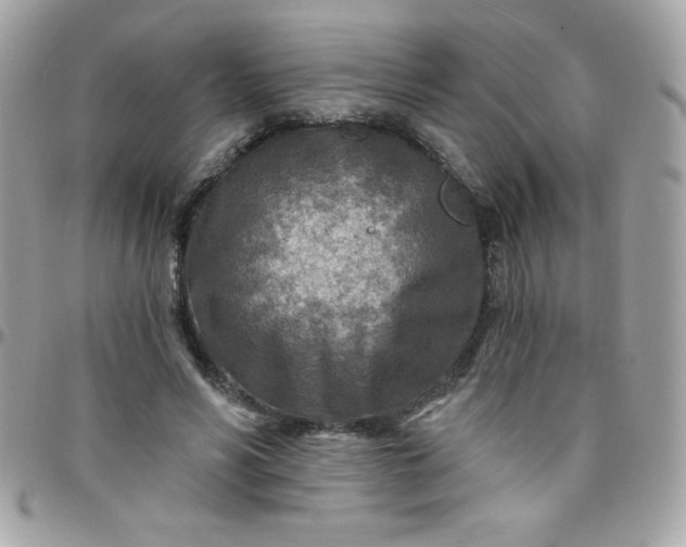 X0000097750590200803211653