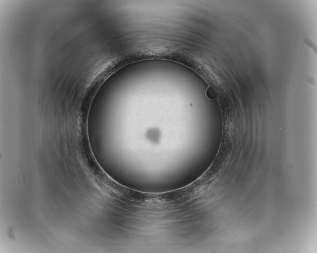 X0000097750591200803211653