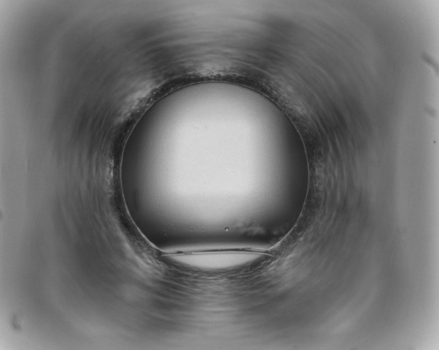 X0000097750592200803211653