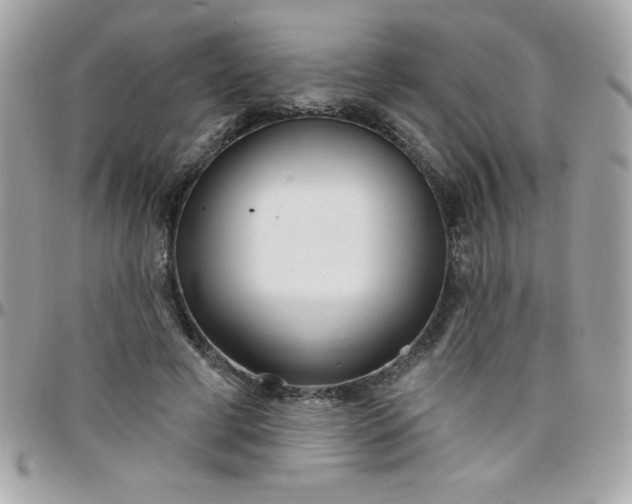 X0000097750593200803211653