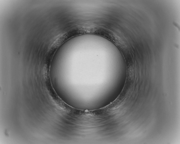 X0000097750594200803211653