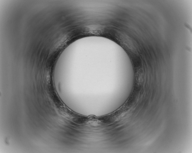 X0000097750595200803211653