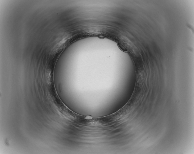 X0000097750596200803211653