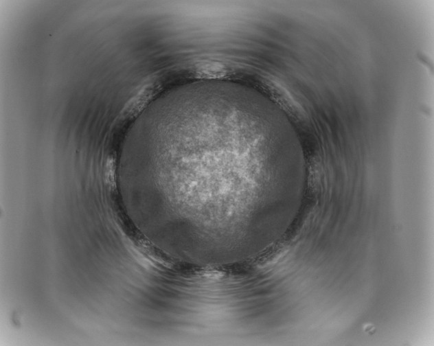 X0000097750598200803211653