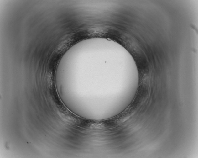 X0000097750599200803211653