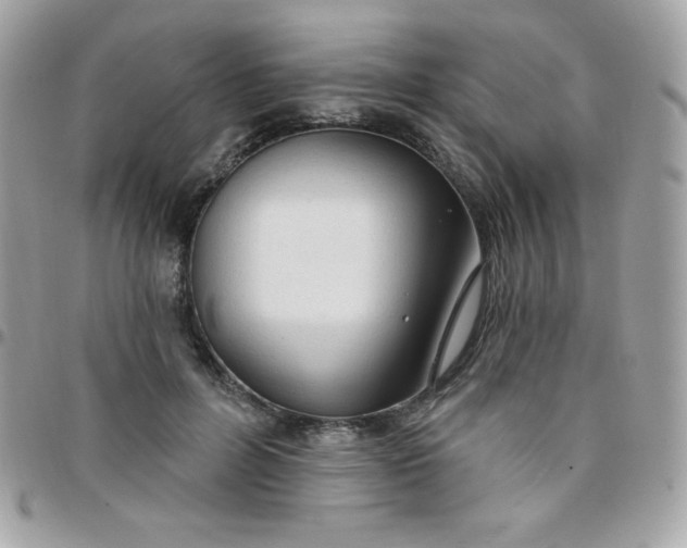 X0000097750600200803211653