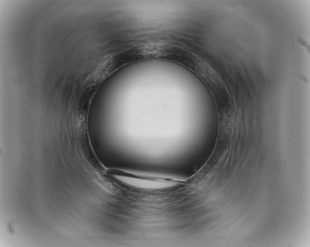 X0000097750601200803211653