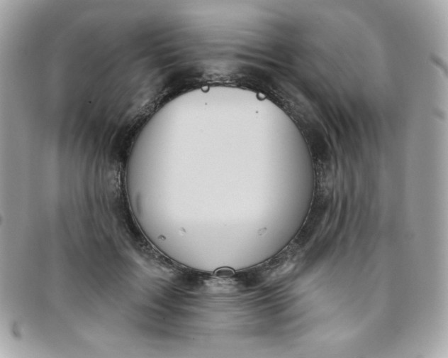 X0000097750603200803211653