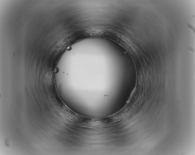 X0000097750604200803211653