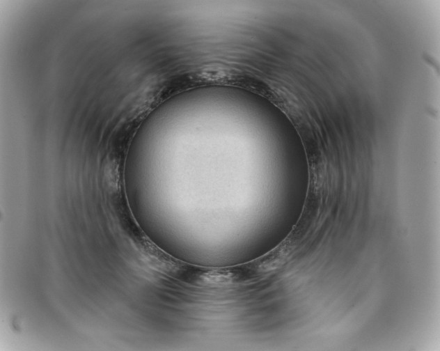 X0000097750606200803211653