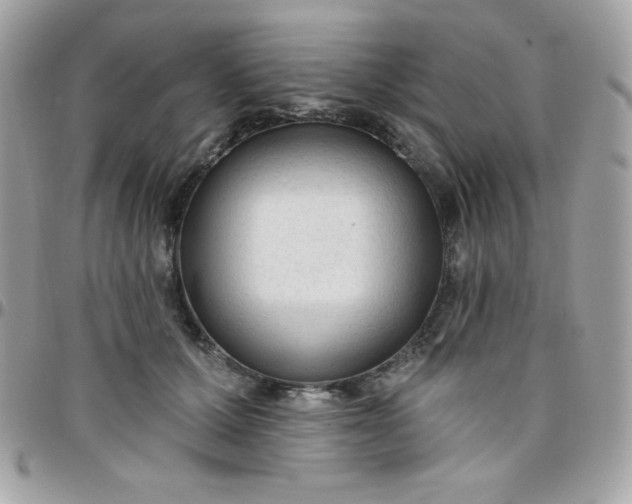 X0000097750607200803211653