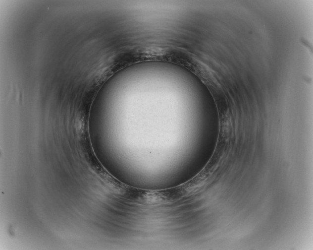 X0000097750608200803211653