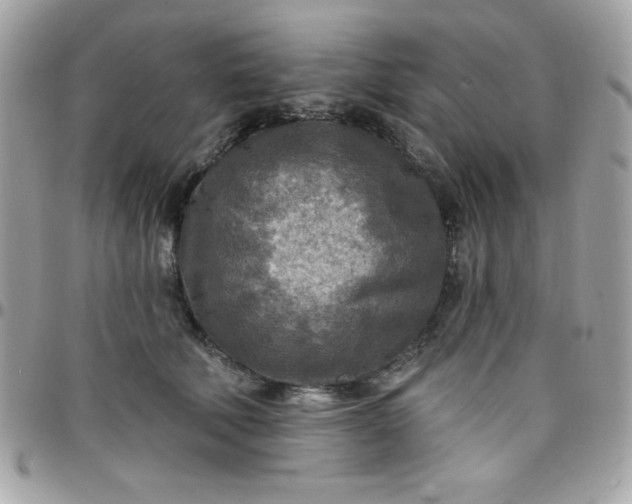 X0000097750610200803211653