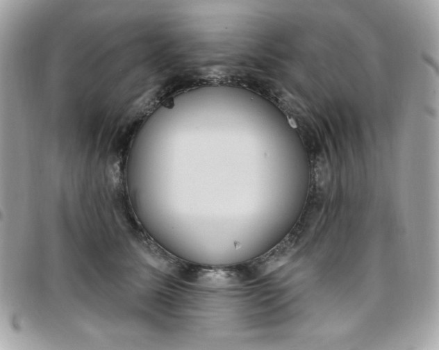 X0000097750611200803211653