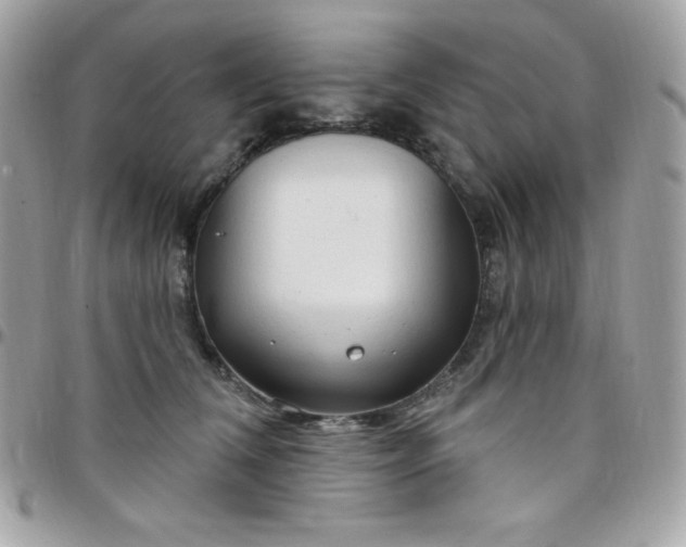 X0000097750612200803211653