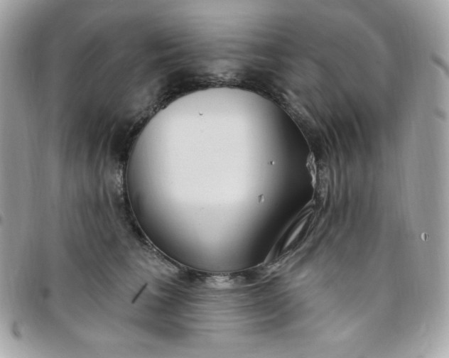 X0000097750613200803211653