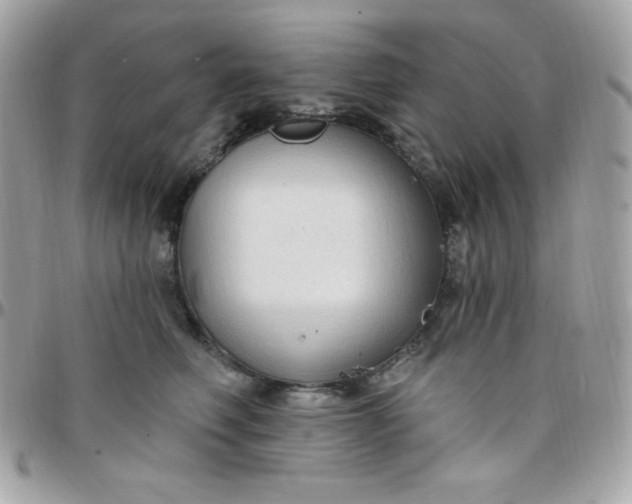 X0000097750614200803211653