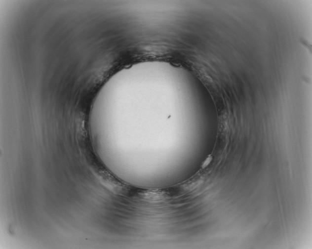 X0000097750615200803211653