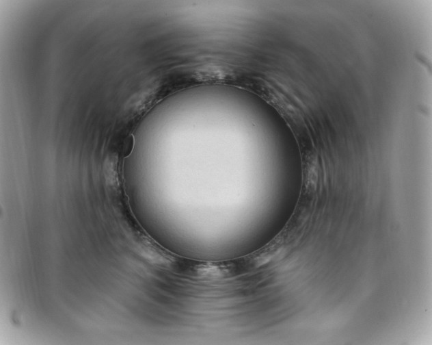 X0000097750616200803211653