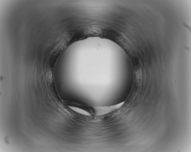 X0000097750617200803211653