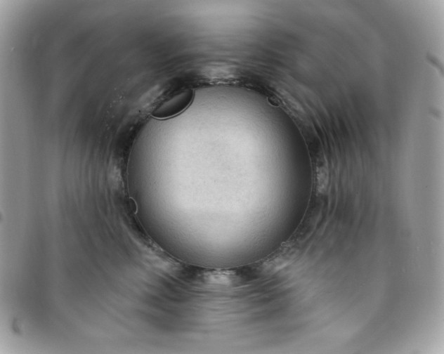 X0000097750618200803211653