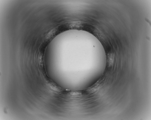 X0000097750619200803211653