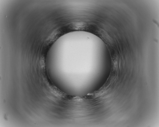 X0000097750620200803211653