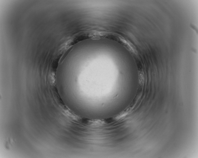 X0000097750621200803211653