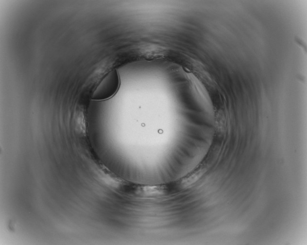 X0000097750622200803211653