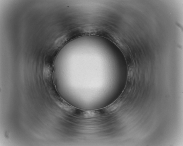 X0000097750623200803211653