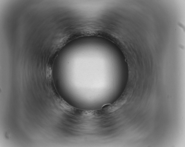 X0000097750624200803211653