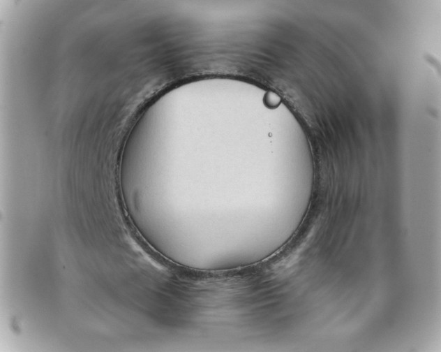 X0000097750625200803211652