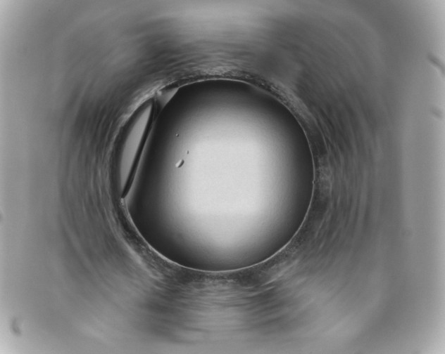 X0000097750626200803211652