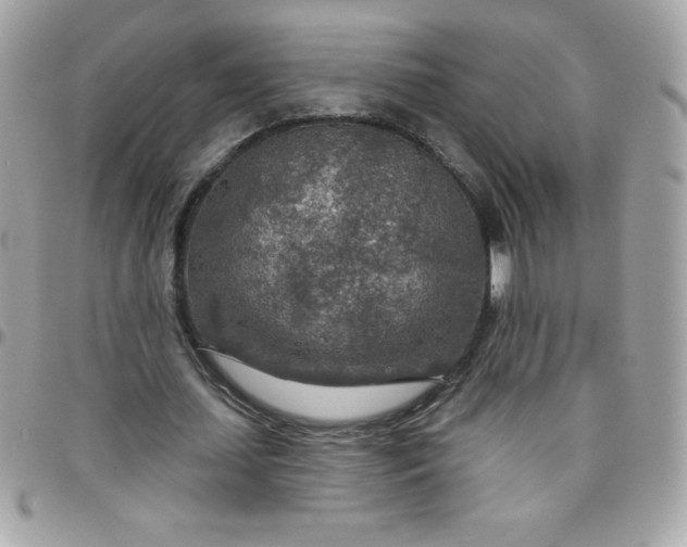 X0000097750627200803211652