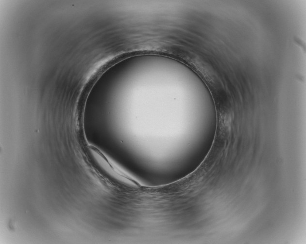 X0000097750628200803211652